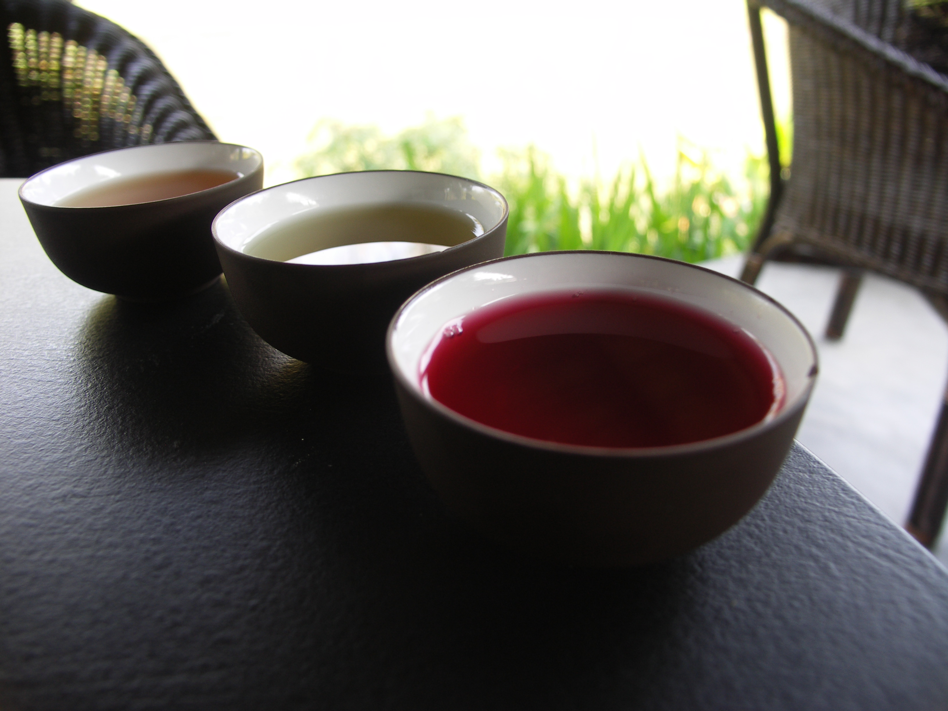 Tea connoisseur evaluating loose leaf aromas with tasting journal